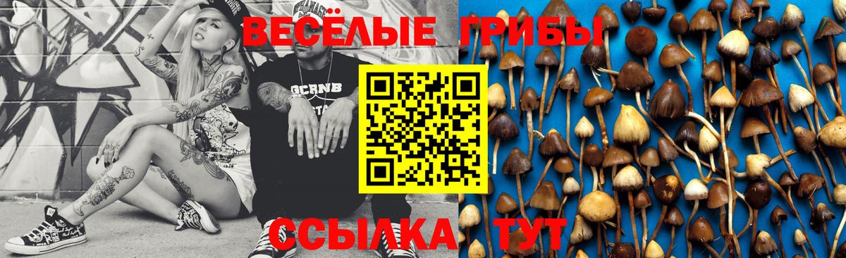 Псилоцибиновые грибы мицелий Подольск